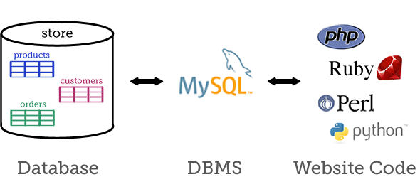 Diagram of database, DBMS and website code