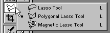 The Lasso tool in the Tools palette