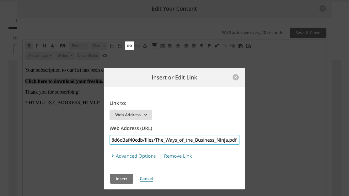 MailChimp: Adding link to page